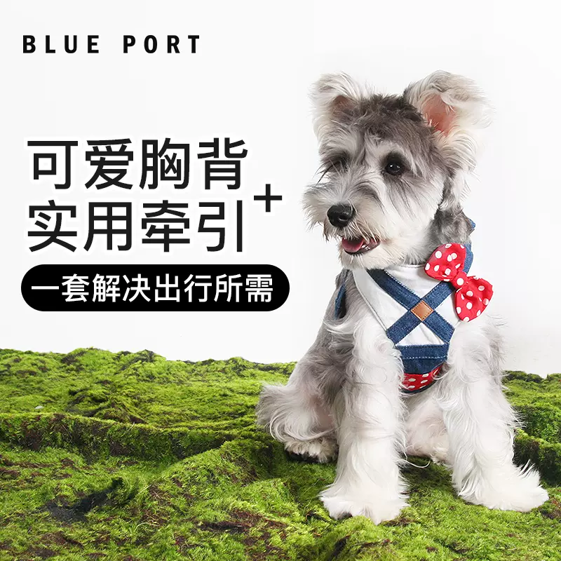 Blueport日式宠物牵引绳中小型犬用胸背带遛狗绳贵宾犬比熊用品潮-Taobao