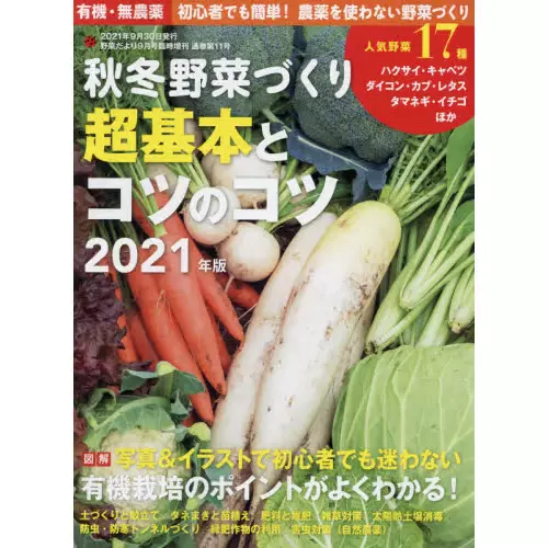 夏野菜 新人首单立减十元 21年11月 淘宝海外