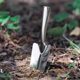 Wild vegetable shovel, gardening small shovel, stainless steel sea-catching artifact, garlic digging shovel, special multi-functional sand digging shovel