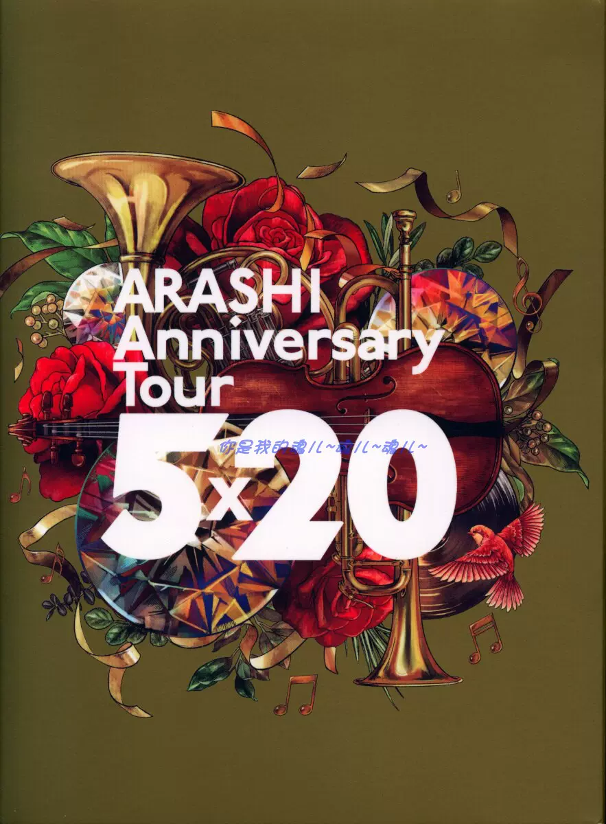 现货+代友出】ARASHI 岚Anniversary Tour 5×20 初回滴V滴-Taobao