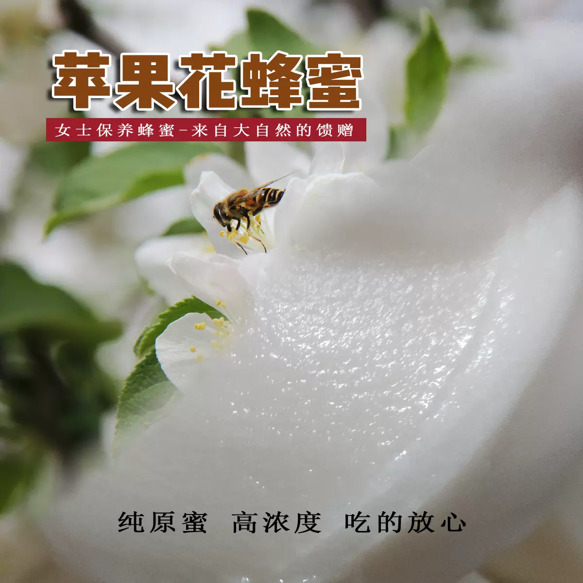 苹果花蜂蜜 新人首单立减十元 21年11月 淘宝海外