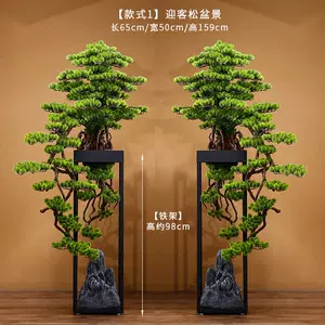 仿真植物盆栽大装饰品 新人首单立减十元 22年9月 淘宝海外