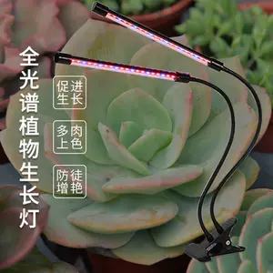 植物日光生长灯 新人首单立减十元 22年10月 淘宝海外