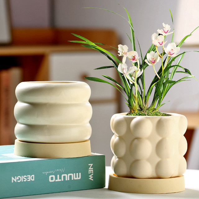 Ceramic succulent flower pot household green ivy exquisite white light luxury creative cream style succulent special pot large size