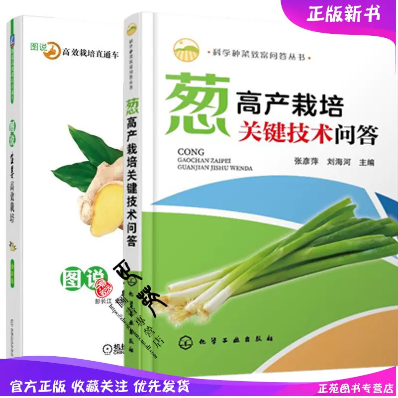 分葱种子 新人首单立减十元 21年11月 淘宝海外