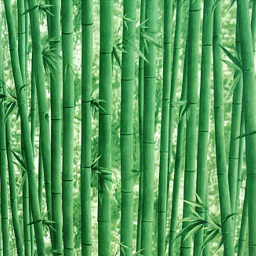 客厅挂画竹林 新人首单立减十元 22年2月 淘宝海外