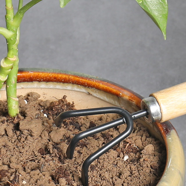 Flower planting tools household set for growing vegetables, flowers and flowers, succulent shovel, soil rake, shovel, gardening shovel, three pieces