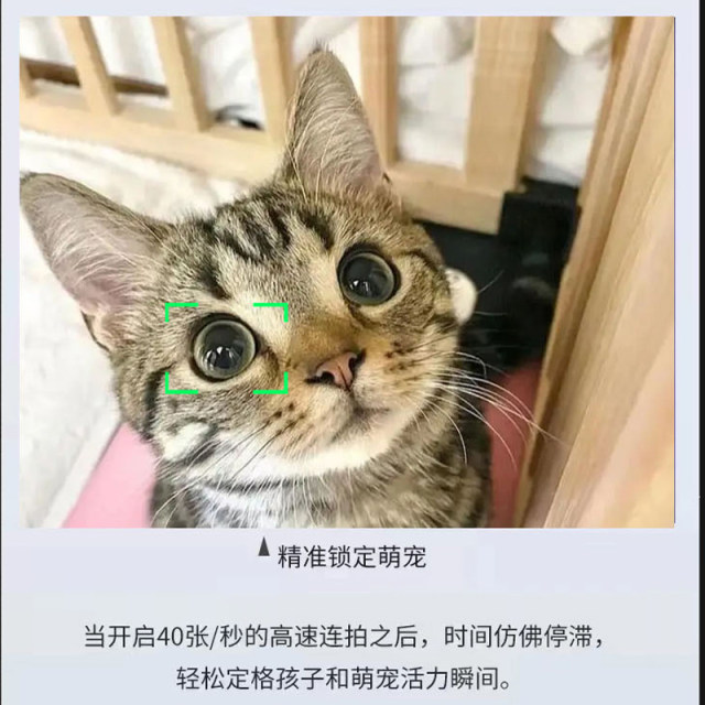 Canon/Canon eos R8 full frame micro single camera HD travel digital professional EOS r8