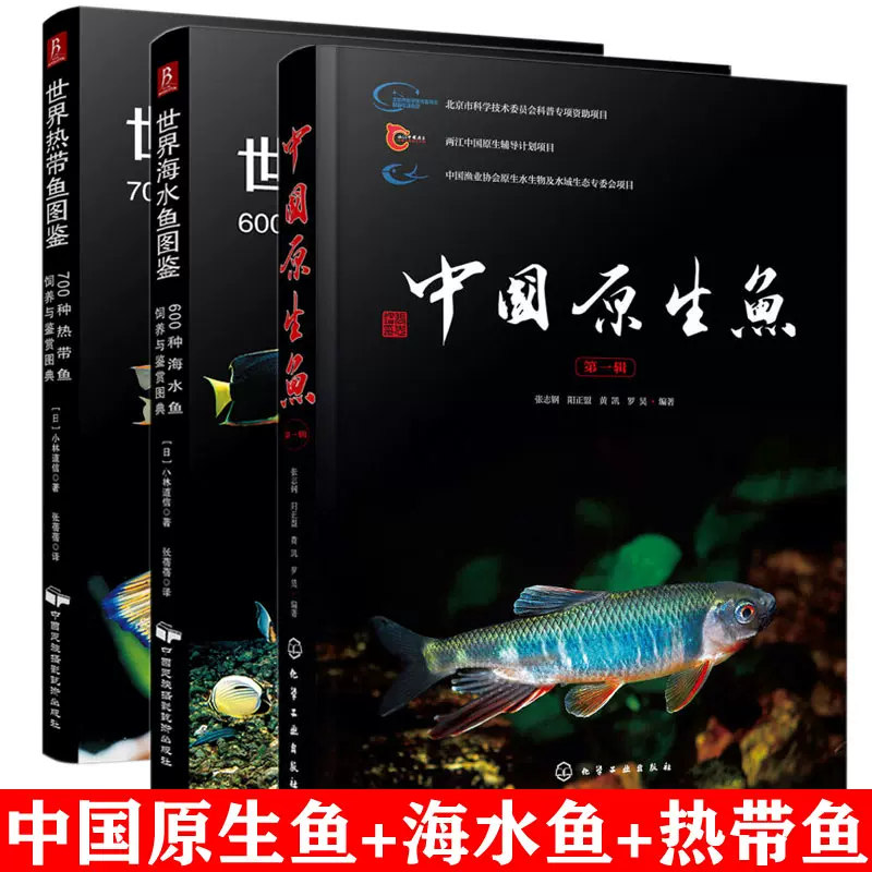 淡水冷水魚 新人首單立減十元 21年12月 淘寶海外