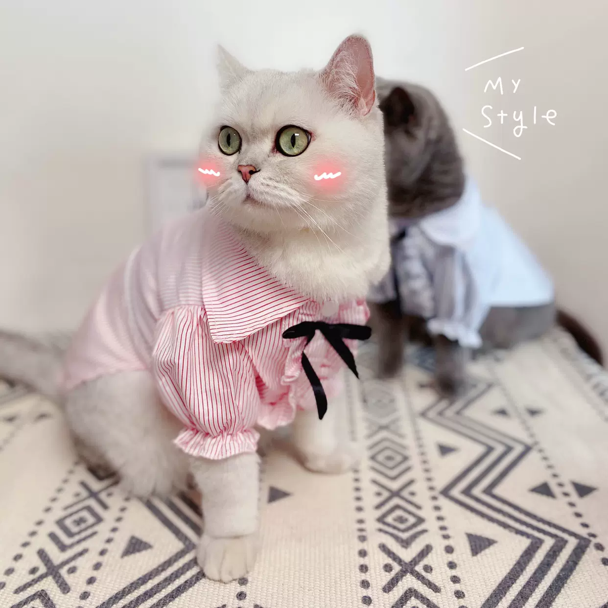 宠物猫猫甜美衬衫猫咪衣服春夏装小型犬狗狗衣服公主情侣装两脚衣 Taobao