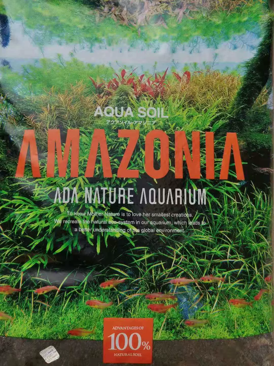 Ada水草泥 新人首单立减十元 21年11月 淘宝海外