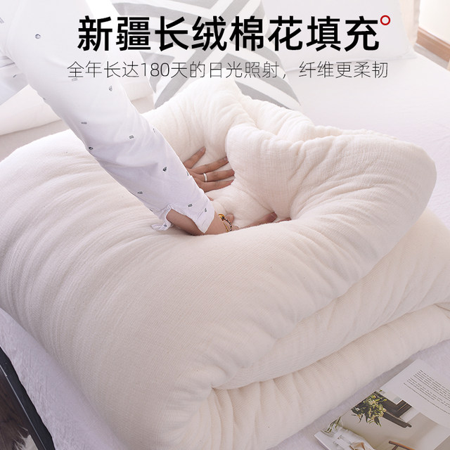 Xinjiang quilt pure cotton quilt winter quilt thickened warm cotton quilt core single cotton batting mattress quilt quilt cotton tire