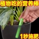 New universal flower-growing plant-shaped nutrition bar potted flower fertilizer home gardening supplies
