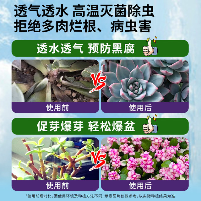 Special nutritional soil for succulent pellet soil plant peat planting soil meat leaf insert seedling old pile grain flower soil