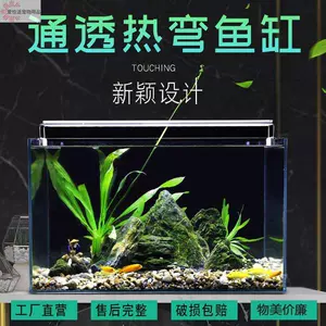 高清金鱼草 新人首单立减十元 22年7月 淘宝海外