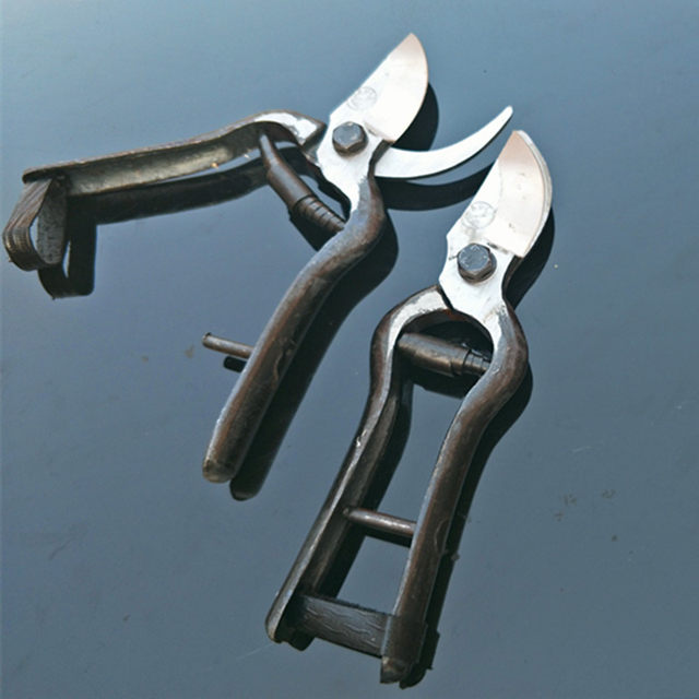 Household old-fashioned labor-saving gardening scissors mulberry flower orchard tree branch special scissors pruning shear tool