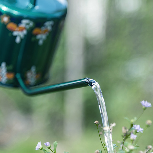 
Stainless steel long spout kettle, sprinkler kettle, household watering kettle, fertilizing kettle, flower kettle, potted plant watering and flower gardening tools