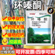 Cyclazinone weed killer, Cyclazinone bamboo dieback agent, root rot agent, special pesticide for tree eradication and weed eradication
