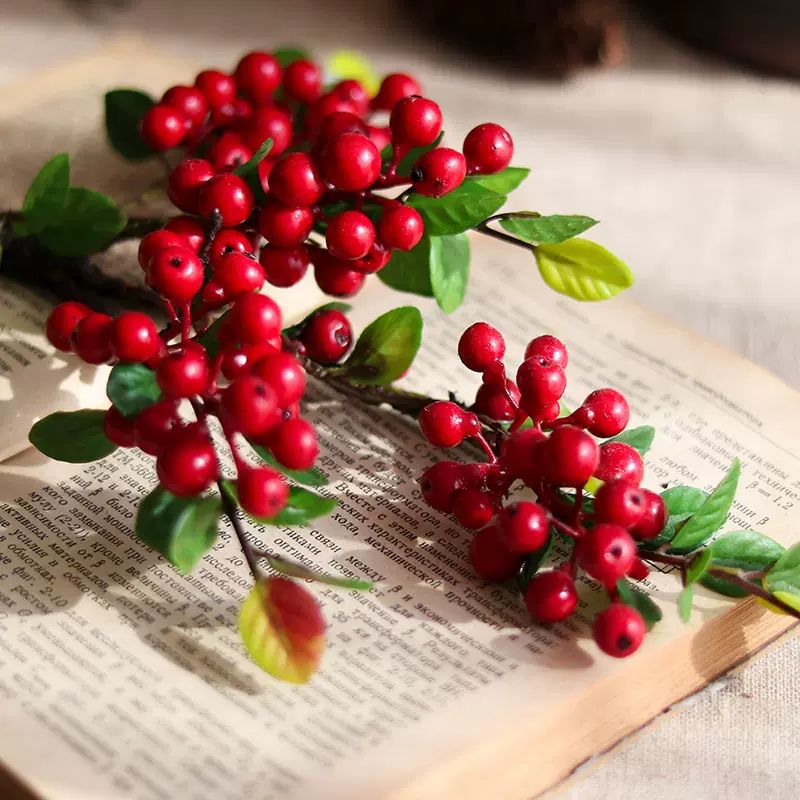 仿真漿果秋實果實發財果紅果子樹枝冬青果中式花藝客廳擺件假花 Taobao