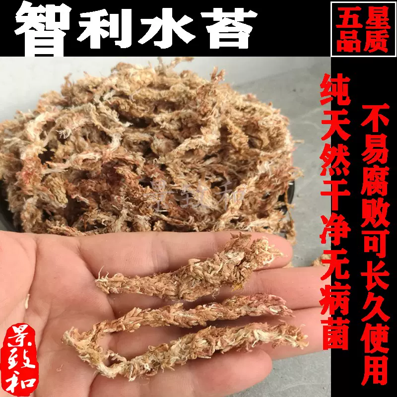 养兰智利水苔苔藓兰花无土栽培介质保湿用营养多肉蝴蝶