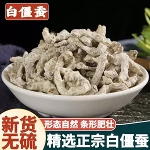 海外最新 白姜蚕（刻）（ビャクキョウサン・白僵蚕）中国産 500g高砂薬