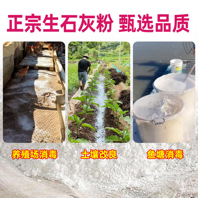 Vegetable quicklime powder sterilizes and disinfects, insecticide and repellent, desiccant, improves water quality, improves soil, prevents mildew and diseases