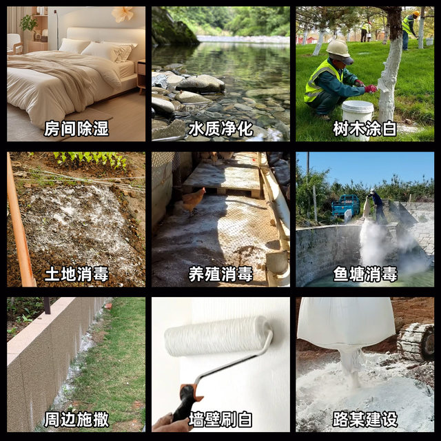 Vegetable quicklime powder sterilizes and disinfects, insecticide and repellent, desiccant, improves water quality, improves soil, prevents mildew and diseases