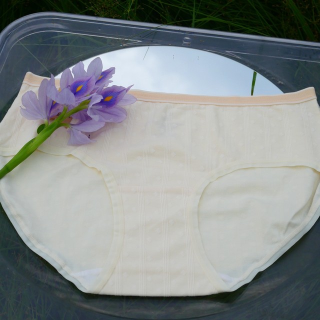 Double A maternal and infant soy raw cotton underwear with extended crotch 7A antibacterial cotton mid-high-waist high-elastic naked women's briefs