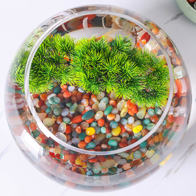 Nanjing Yuhua Stone Rough Ragstone Natural Cobliite Fish Tank Little Stone Light Satstone Mochonal Horticulture Create View Panel
