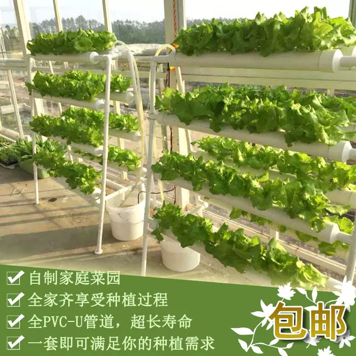 水耕蔬菜栽培 新人首单立减十元 21年11月 淘宝海外