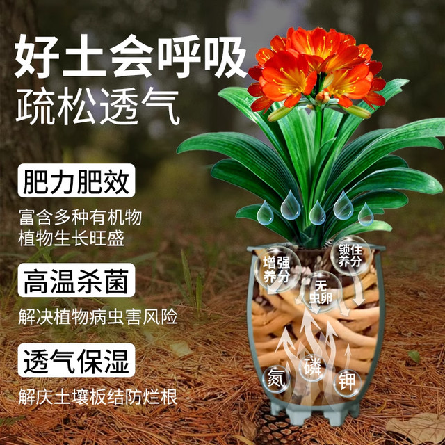 Pine needle humus soil natural corruption and rotten pure gentleman orchid multi -meat peat nutritional soil special soil