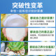Urea fertilizer for vegetables 100Jin [Jin is equal to 0.5kg] nitrogen fertilizer for flowers, compound fertilizer for vegetables, agricultural vegetables, general flower cultivation