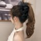 Cloud Bubble Mesh Clip Women's 2025 New High-end Large Feather Shark Clip Headdress Hair Clip Flower