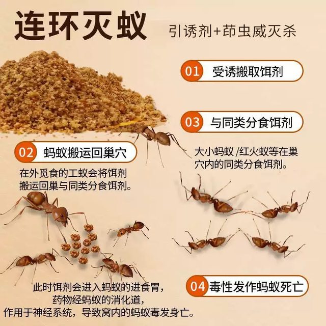 Korean ant medicine special for flowers and gardening home ant killer ant powder for home use to treat red, yellow and black ants