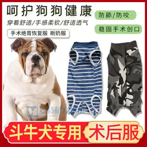 狗狗术后恢复服 新人首单立减十元 22年4月 淘宝海外