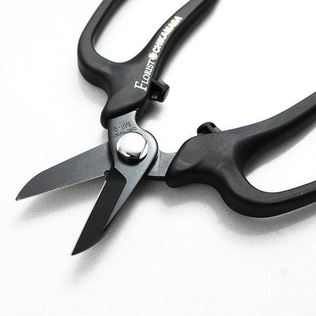 DEARYOU imported flower cutters in Japan, horticulture scissors, flower artists' special flower arrangement and pruning scissors