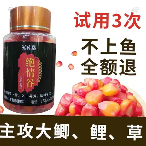 古玉老玉鱼 新人首单立减十元 22年1月 淘宝海外