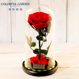 Immortal Flower Box Little Prince Rose Glass Cover Send Girlfriend Birthday Valentine's Day Gift Dried Flower Bouquet