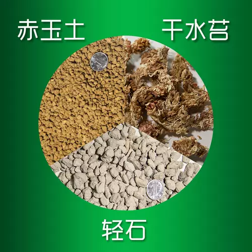 土水苔 新人首单立减十元 22年1月 淘宝海外