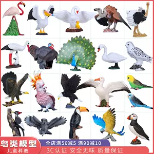 孔雀鸟类动物-新人首单立减十元-2022年6月|淘宝海外