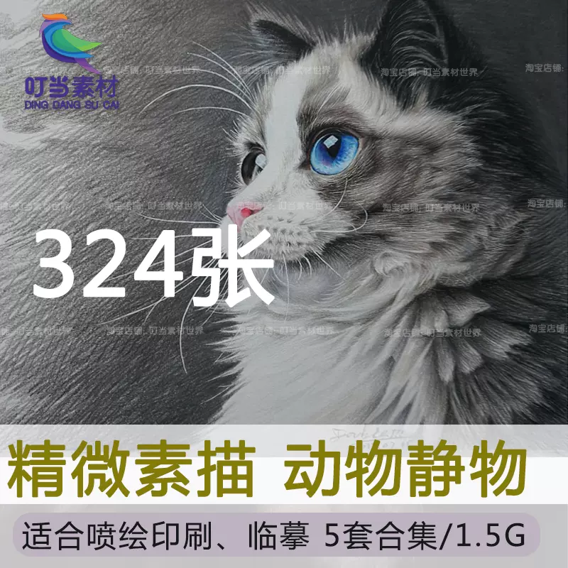 精微素描靜物臨摹圖片素材鉛筆彩色鉛筆精畫超寫實超清動物