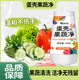Eggshell Fruit and Vegetable Cleaning Flagship Store Zero Fruit Cleaning Powder Washing Fruit Pregnant Women Mother and Baby Washing Salt Pesticide Residual Cleaning Agent