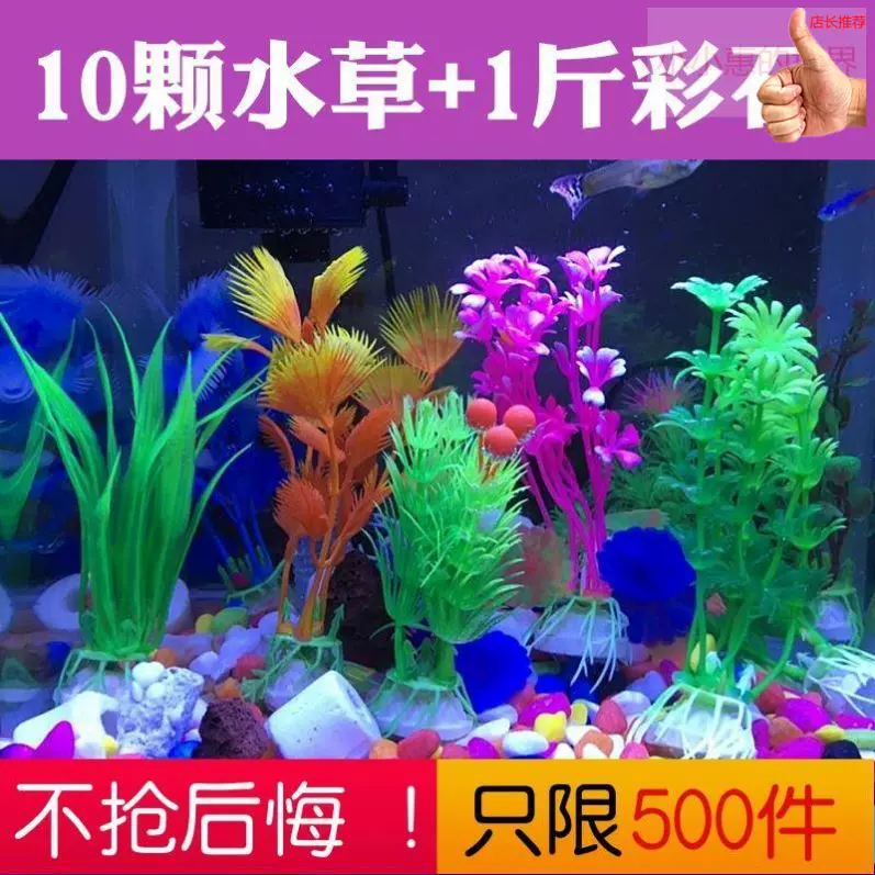 养鱼海草 新人首单立减十元 21年11月 淘宝海外