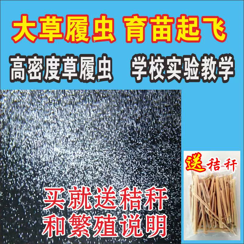 鱼水草苗 新人首单立减十元 21年11月 淘宝海外