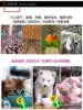 Товары от promiseman旗舰店