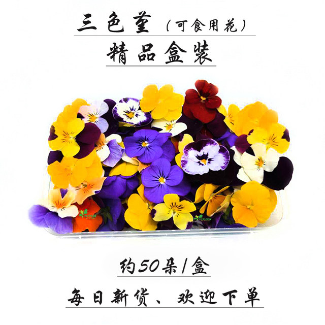 Fresh pansy fragrant wood golden willow buds, Qianye orchid, mint head, Mixed flower hotel with flowers and plants