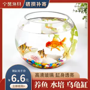 金鱼小花盆 新人首单立减十元 22年3月 淘宝海外
