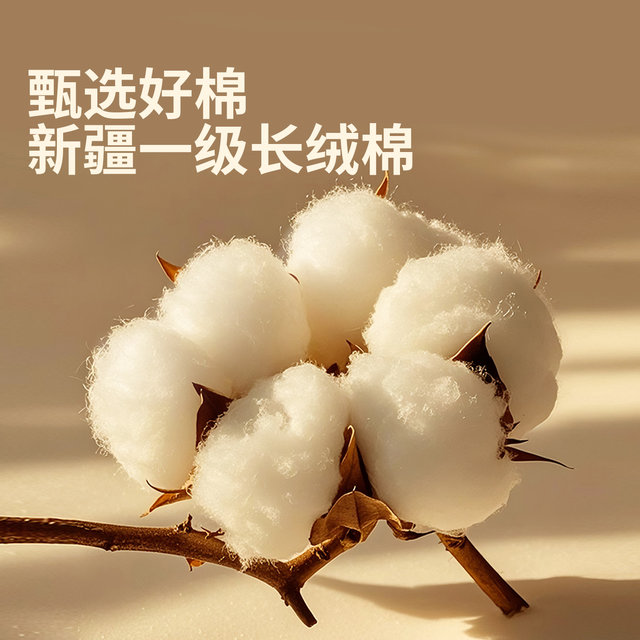 Xinjiang cotton quilt core first grade pure cotton wool long velvet cotton wool soft mattress four seasons universal single handmade quilt