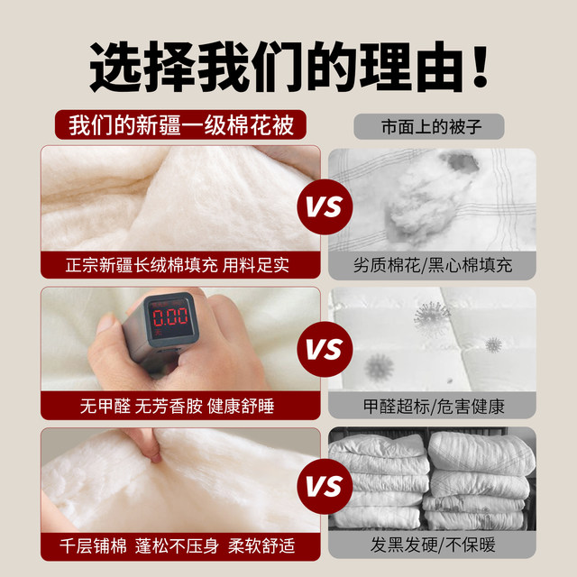 Xinjiang cotton quilt core with quilt cover spring and autumn quilt winter thickened warm quilt student dormitory single quilt