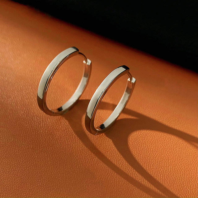 Plain hoop earrings for women, light luxury, high-end, temperament, versatile and atmospheric ear hoops, 2025 new hot style earrings, hoop earrings